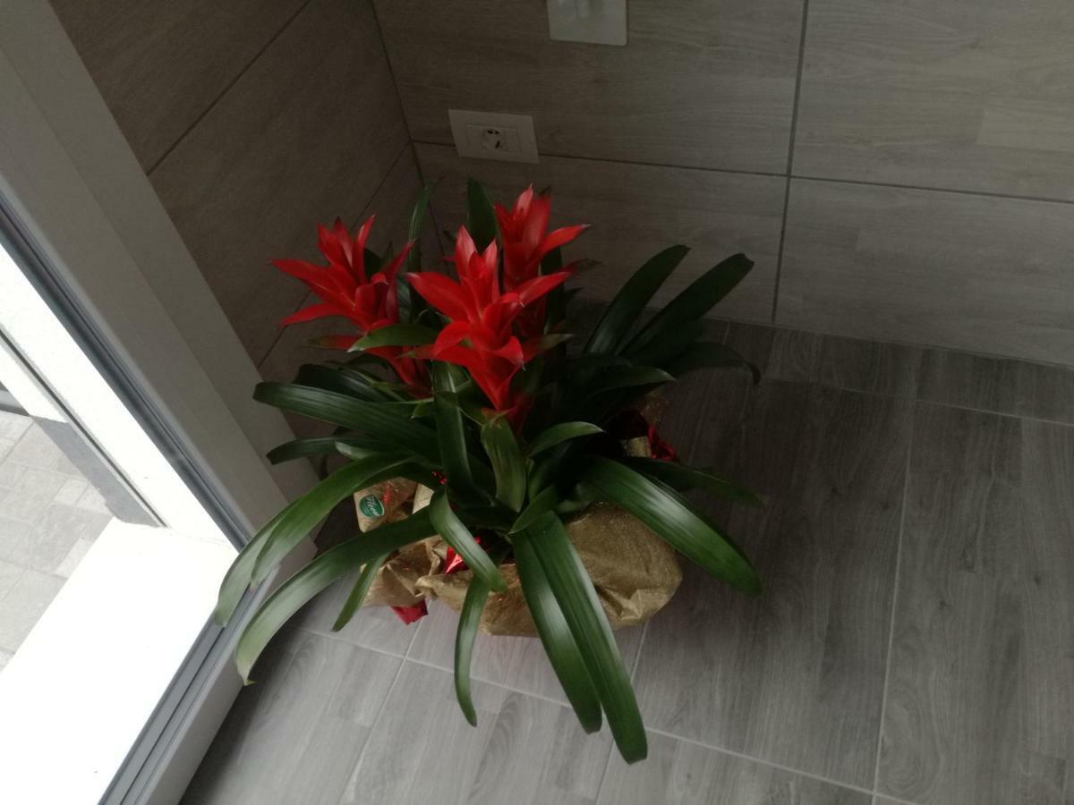 Apartamento Alessietto Verona Exterior foto